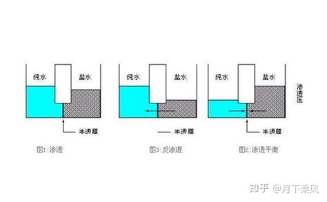 工作水|实验室常见的四种类型纯水介绍